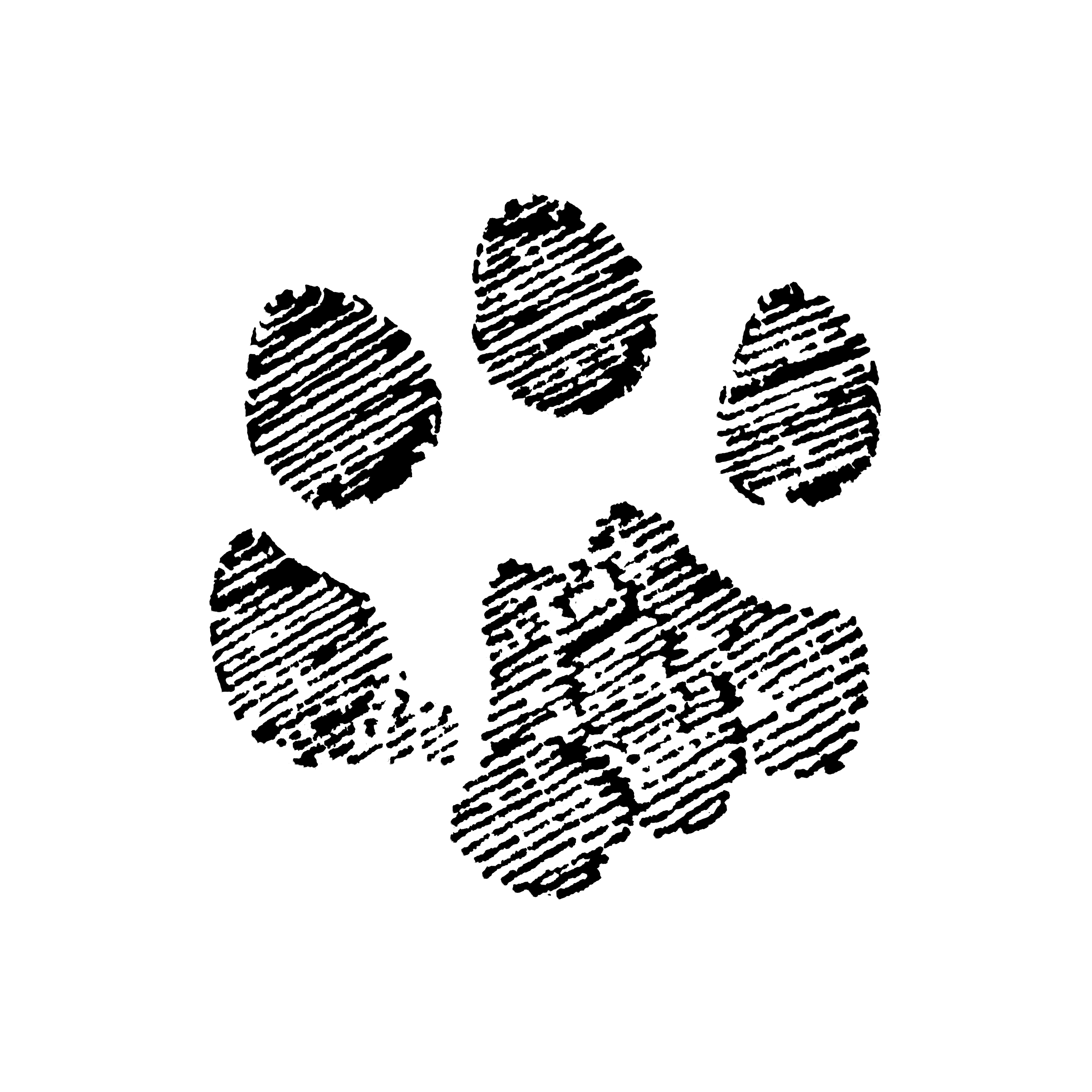 Dionne Warwick - Track Of The Cat 2